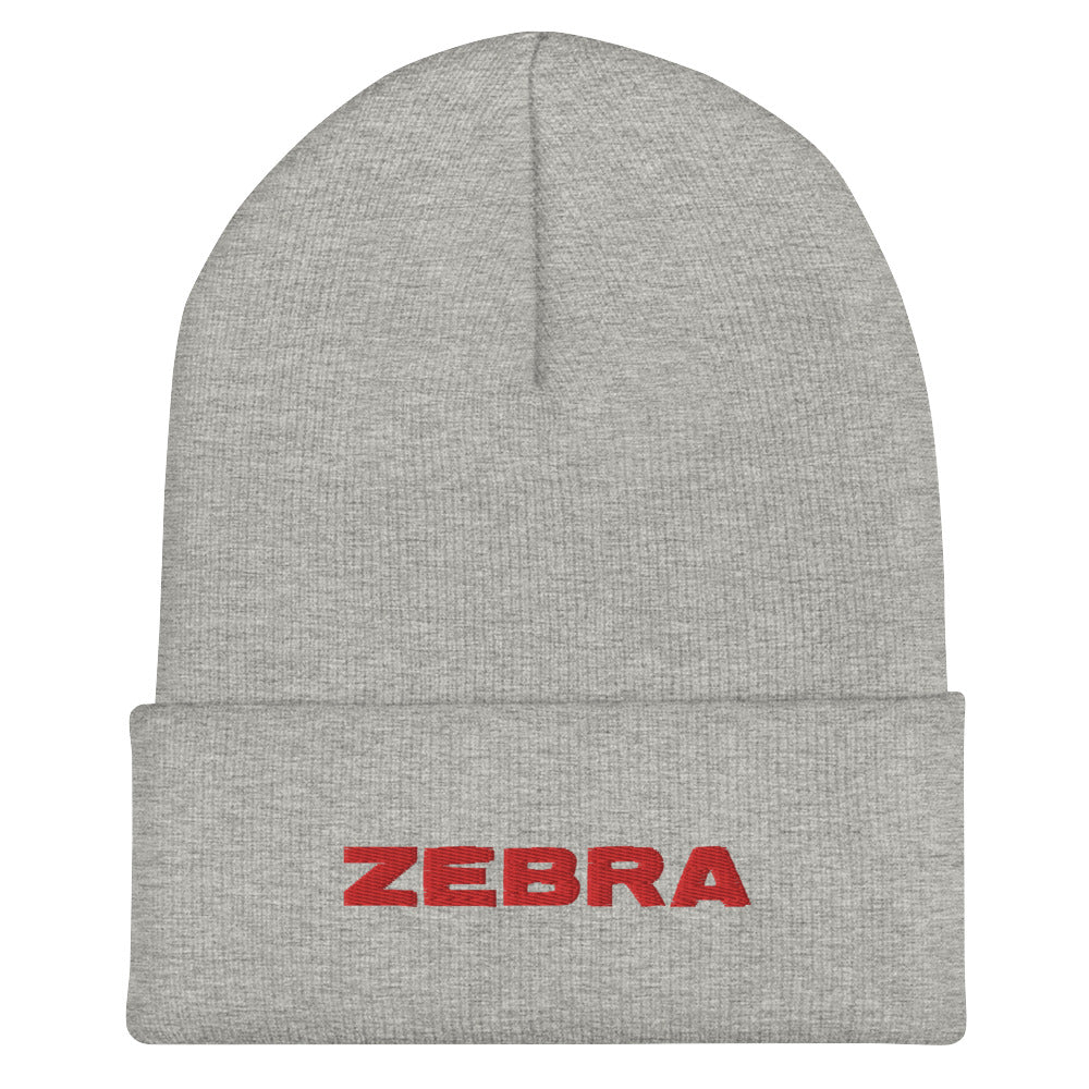 Winter Beanie