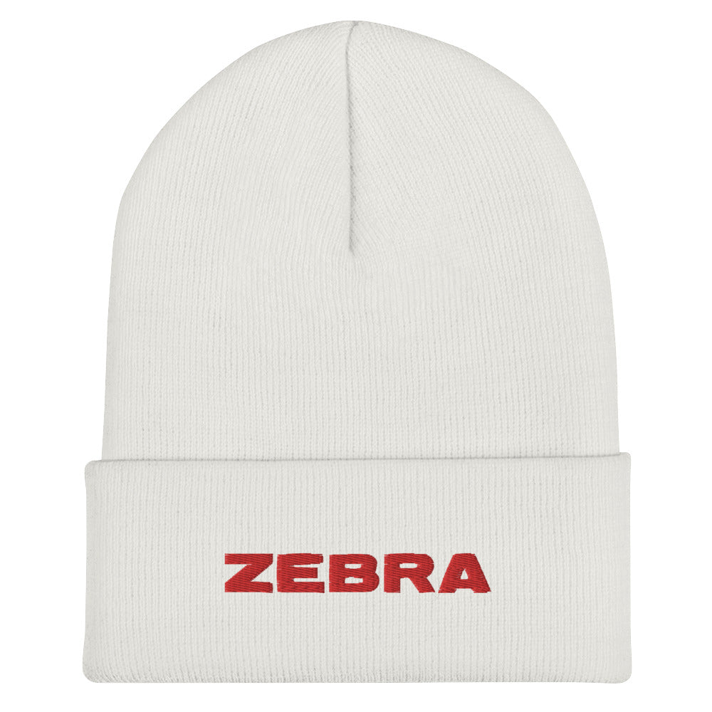 Winter Beanie